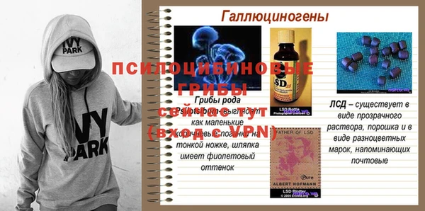 ПСИЛОЦИБИНОВЫЕ ГРИБЫ Алексеевка