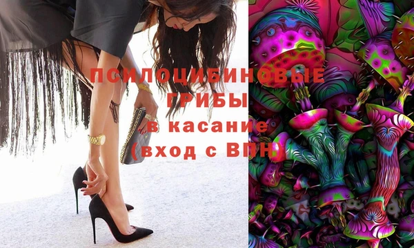 герыч Алексин