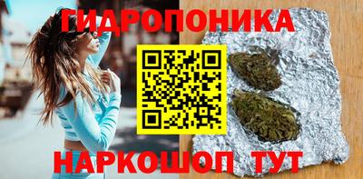 альфа пвп Новодвинск
