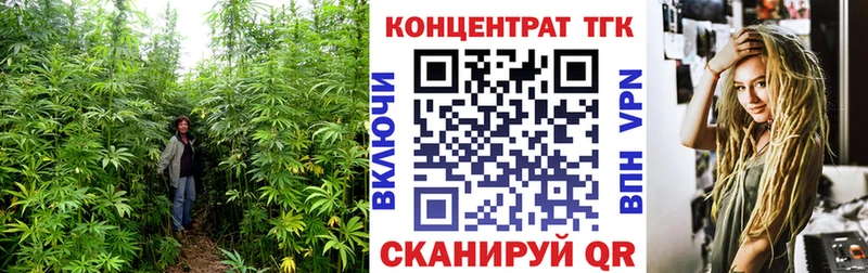 hydra ТОР  Урай  Дистиллят ТГК гашишное масло 