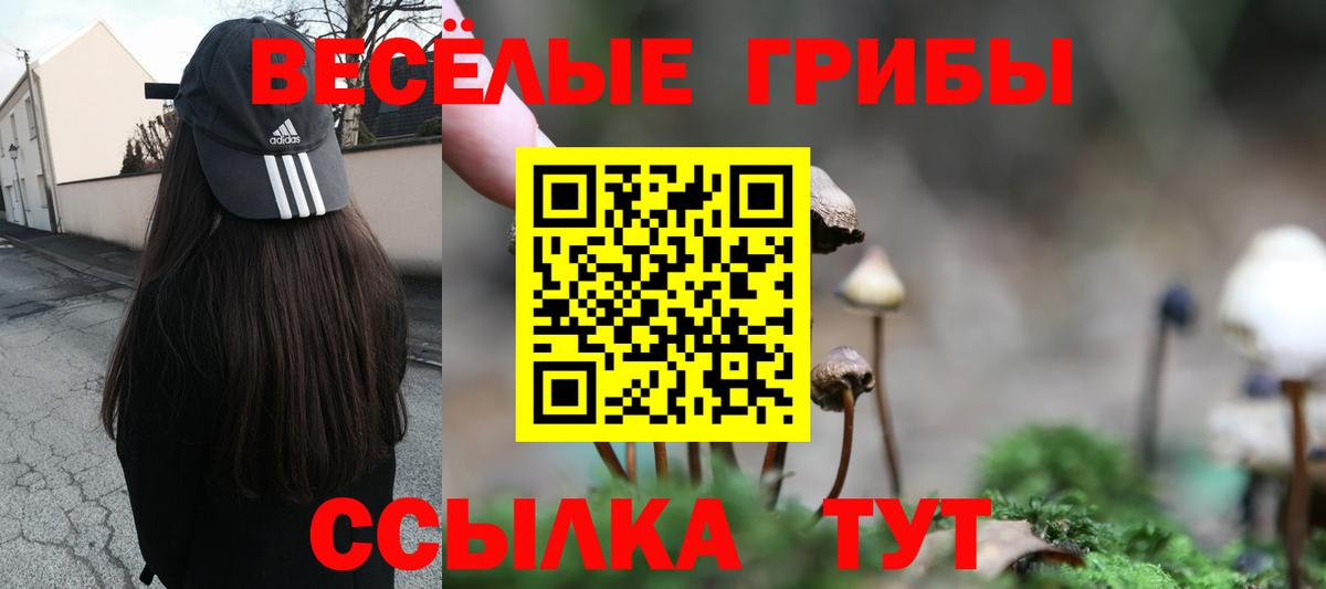 Урай  Псилоцибиновые грибы Psilocybine cubensis  Галлюциногенные грибы GOLDEN TEACHER  Вход с VPN 